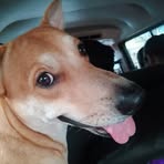 Profile Picture of Milo Miles (@Milo-Miles) on Facebook