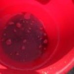 Paula Vaughan - Instagram Profile Picture of Paula Vaughan (@paulanorton) on Instagram