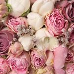 Profile Picture of Racheal Graham (@ilovela100) on Instagram