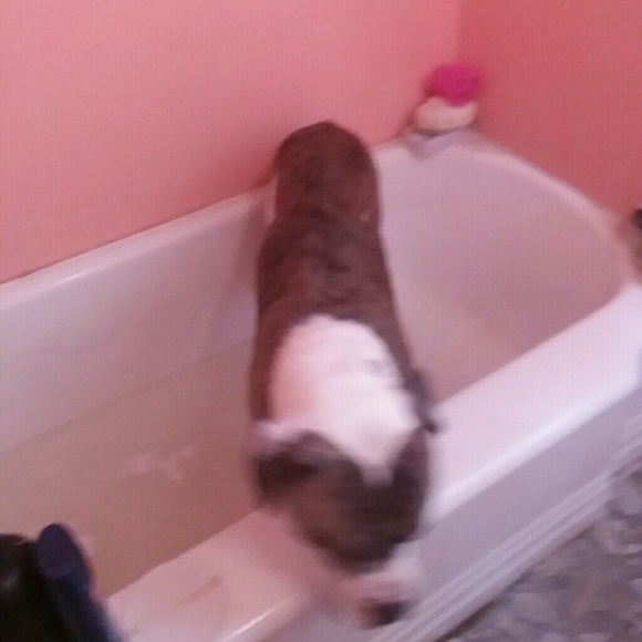 Profile Picture of Eric Pruett (@epruett96) on Poshmark