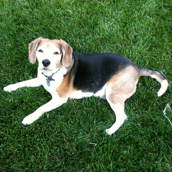 Annette Palmiero - Poshmark Profile Picture of Annette Palmiero (@annette4215) on Poshmark