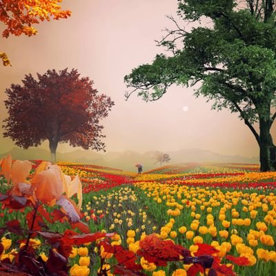 Profile Picture of Peter Elorm Atta (@AttaElorm) on Twitter