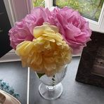 Profile Picture of David Jopling (@David-Jopling) on Facebook