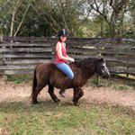 Profile Picture of CD Davidson-Hiers (@cd.davidson.hiers) on Instagram