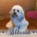 Profile Picture of Jerry Rusk (@Jerry-Rusk) on Facebook