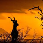 Profile Picture of Tony Britton (@chertsey_camera_club) on Instagram