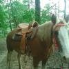 Profile Picture of Thomas Tackett (@@thomastackett4) on Tiktok
