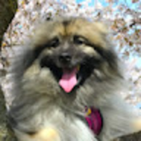 Profile Picture of Nora Meixner (@norameixner) on Poshmark