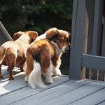 Profile Picture of Janis Leonard (@celticweaver) on Instagram