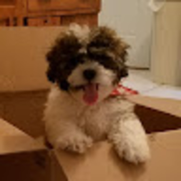 Profile Picture of James Estes (@eatacake) on Poshmark