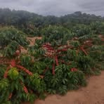 Profile Picture of Lazaro Gloria (@Lazaro-Gloria) on Facebook