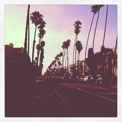 Profile Picture of Alexis McDermott (@AMcD_NYC) on Twitter