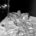 Profile Picture of Christopher Narberg (@christopher.narberg) on Facebook