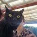 Profile Picture of Rob Otter (@robertquiring) on Pinterest