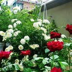 Nurul Shazwani - Facebook Profile Picture of Nurul Shazwani (@nurul.shazwani.1257) on Facebook