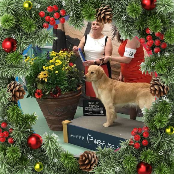 Profile Picture of Pat Morello andrews (@patandrews) on Poshmark