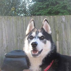 Profile Picture of Mark J Broderick (@markjbroderick) on Tiktok