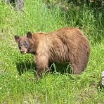 Profile Picture of Tony Riggs (@tony.riggs.2025) on Facebook