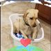 Profile Picture of Joy Reinhardt (@Joy-Reinhardt) on Facebook