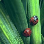 Profile Picture of TaylorMcCombie™️ (@taylormccombie) on Instagram