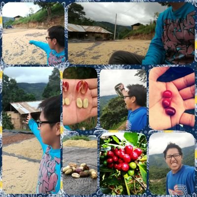 Profile Picture of Ronald Alarcon (@ron_duck) on Twitter