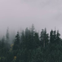 Damian Gilbert - Quora Profile Picture of Damian Gilbert (@damian-gilbert-9) on Quora