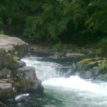 Profile Picture of Robin Overbay (@robinoverbay) on Instagram