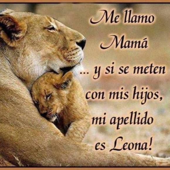 Profile Picture of Beth Albert (@albertbeth18) on Poshmark