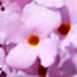 Profile Picture of Raymond Fletcher (@fletchr56) on Flickr