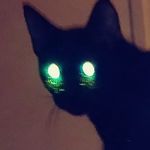 Profile Picture of Sean Streeter (@_stroodle) on Instagram