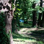 Profile Picture of Adam Brzostowski (@czerwonyniebieski) on Instagram