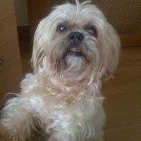 Profile Picture of Richard Burn (@richard.burn.798) on Facebook