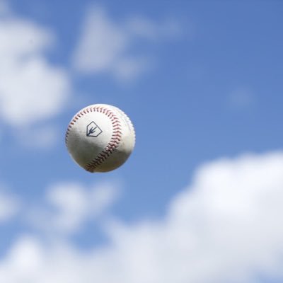 Profile Picture of Brian (@BrianRuminski) on Twitter