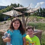 Profile Picture of Kim Causey Coenen (@kcoenen1) on Instagram