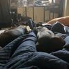 Profile Picture of william_more2 (@william_more2) on Tiktok