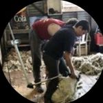 Profile Picture of Crutcher (@andrewfrank8924_) on Instagram