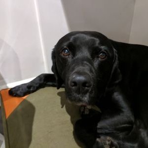 Profile Picture of Tim Armstrong-Taylor (@TimArmstrongTay) on Twitter