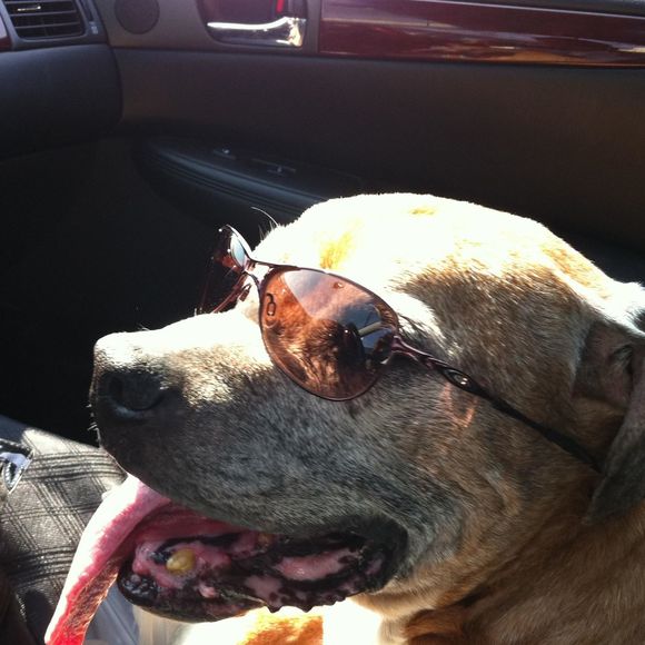 Profile Picture of Kathy Weitmann (@kathy95c) on Poshmark