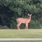 Profile Picture of Caleb Boland (@Caleb-Boland) on Facebook