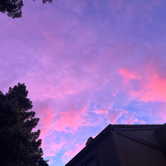 Profile Picture of Ariana Alakozai (@ariaashley) on Poshmark