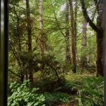 Profile Picture of Robert Otman (@robertotman) on Instagram