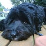 Profile Picture of Tracey Cusick (@cusicktracey) on Instagram