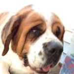 Profile Picture of Mona Nugent (@desanmona) on Instagram