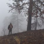 Profile Picture of James Laird (@jimmyplaird) on Instagram