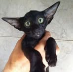 Profile Picture of Bernie Hack (@berniehack50) on Facebook