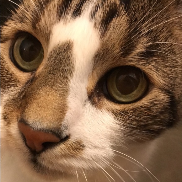 Profile Picture of Samantha Salvato (@ssalvato1227) on Poshmark