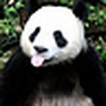 Profile Picture of %u9AD8 %u9E4F (@%u9AD8 %u9E4F) on Flickr