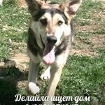 Profile Picture of Valerie Wright (@valeriewrightn91) on Instagram