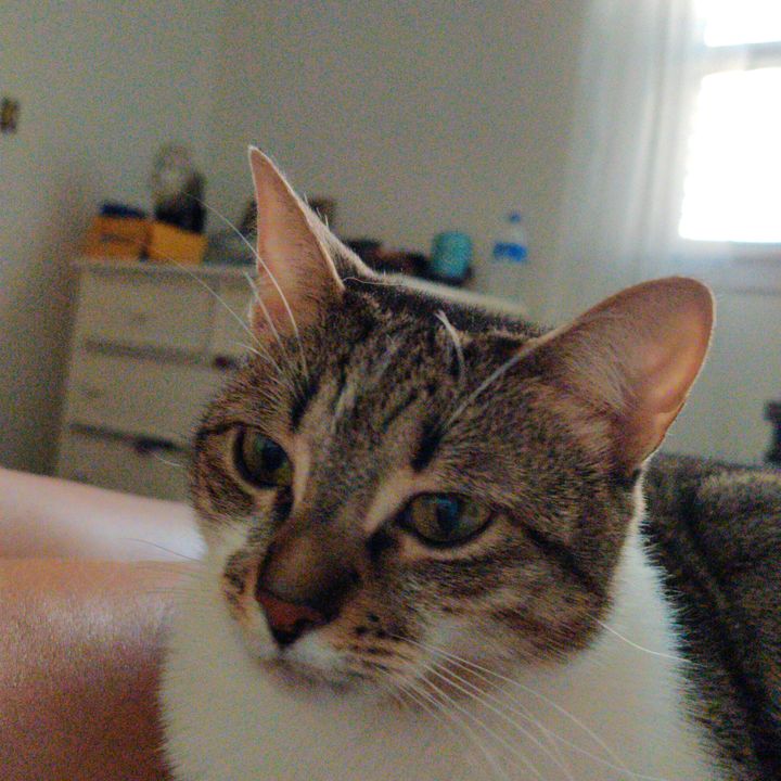 Profile Picture of user8404955721611 (@chris.vallance) on Tiktok