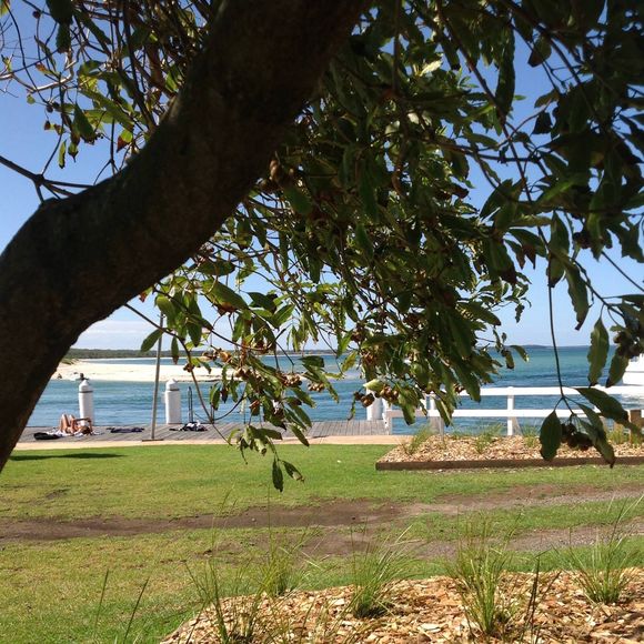 Profile Picture of Melisa Thomas (@melisa_thomas) on Poshmark